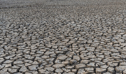 drought land.Land with dry and cracked desert ground, global warming background.Concepts global...