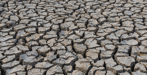 drought land.Land with dry and cracked desert ground, global warming background.Concepts global warming problem resolution with over cracks soil .