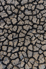 drought land.Land with dry and cracked desert ground, global warming background.Concepts global warming problem resolution with over cracks soil .