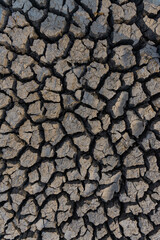 drought land.Land with dry and cracked desert ground, global warming background.Concepts global...