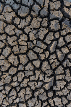 drought land.Land with dry and cracked desert ground, global warming background.Concepts global warming problem resolution with over cracks soil .