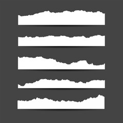 collection of torn ripped paper sheets