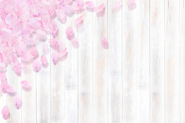 桜の花びら_白い木の板