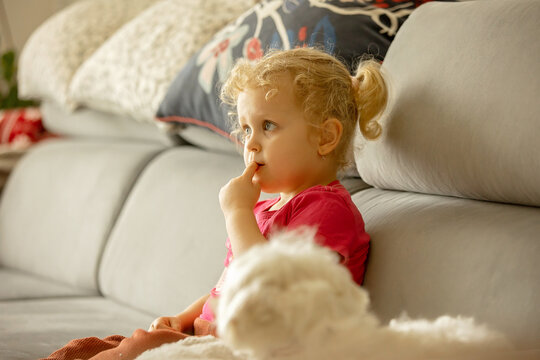 Cute Little Blond Toddler Girl, Sitting In Front Of The TV With Popcorn, Watching Movie With Her Pet Dog