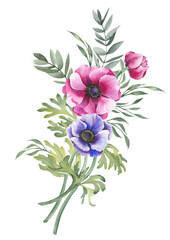Watercolor anemone flowers and green branches arrangement. Illustration isolated on white background.