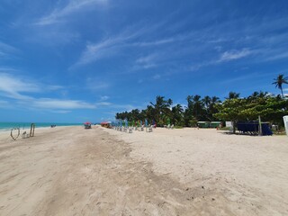 Praia Beach Sunset coconut