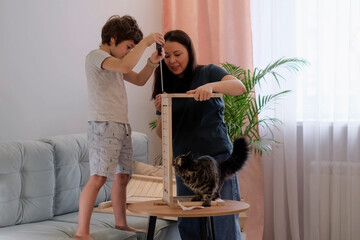 Mother and her son assembling furniture together at home