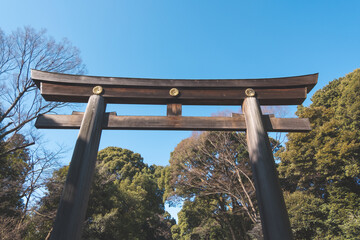 Meiji Jingu shrine torii gate in Tokyo Japan.