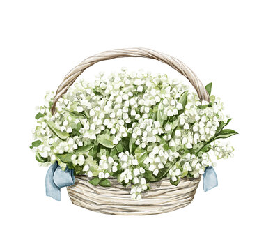 Vintage wicker basket with bouquet lilies of the valley isolated on white background. Watercolor hand drawn illustration sketch