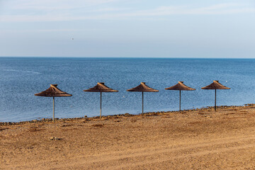 A view of the rows of umbrellas made of reeds on a sandy beach