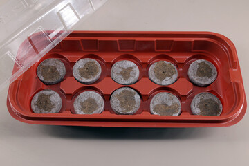 special plastic container for placing peat pellets for seedlings