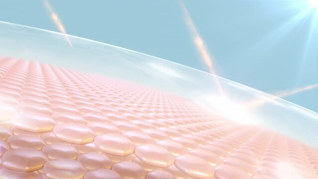 3D animation of skin cells. Skin cell with UV protection. Advertisements for cosmetics, sunscreen, Cream, and serum. Ultraviolet shield reflect.