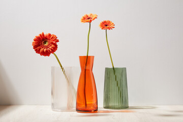 orange gerberas stand in multi-colored glass vases white green red on a wooden table background ...