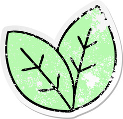 distressed sticker of a quirky hand drawn cartoon leaves