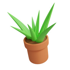 3D rendering. aloe vera on a white background.