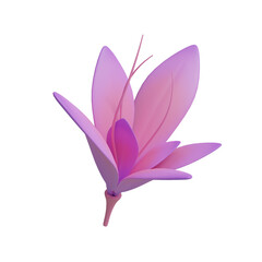 3D rendering. lily on a white background.