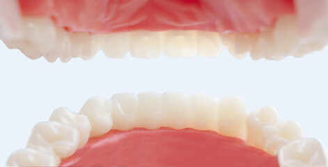 View from patient mouth. Teeth care and protection concept. Closeup.