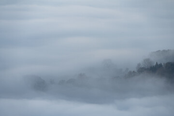 Naklejka na ściany i meble Trees and mist. Bamford Edge landscape vignette in the Peak District National Park, UK.