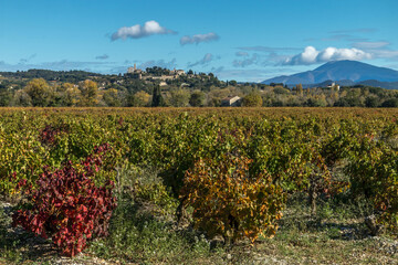 Village de Cairanne au milieu des vignes à l' automne , au pays des Dentelles de Montmirail. Vaucluse. France	 - obrazy, fototapety, plakaty