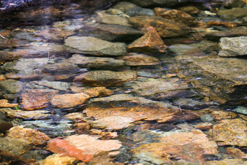 Colored rocks covered with water