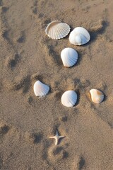 seashells on the sand beach - generative ai