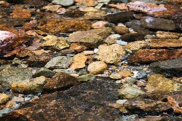 Colored rocks covered with water