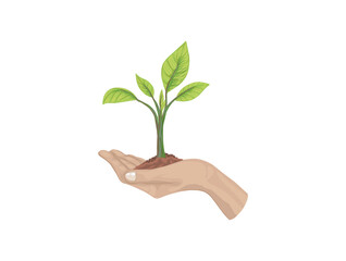 Fototapeta na wymiar a hand holding soil with growing plants.