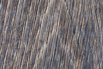 Old, dried wooden texture background