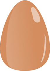 Fototapeta premium Nice Chicken Egg
