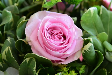 Bouquet of rose flower in a house.