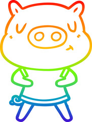 rainbow gradient line drawing cartoon content pig wearing t shirt