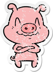 distressed sticker of a nervous cartoon pig