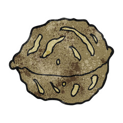 textured cartoon walnut in shell