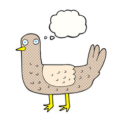 thought bubble cartoon bird