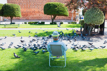 An old man feeding pigeons