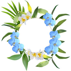 Banner tropical leaves and branches isolated on white background. Illustration for design wedding invitations, greeting cards, postcards. Spring or summer flowers with space for your text