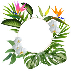Banner tropical leaves and branches isolated on white background. Illustration for design wedding invitations, greeting cards, postcards. Spring or summer flowers with space for your text