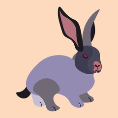 Easter rabbit hare illustration.