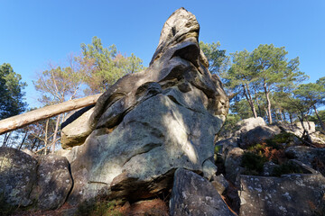 Fototapeta na wymiar Boulders of the Demoiselles rock in fontainebleau forest