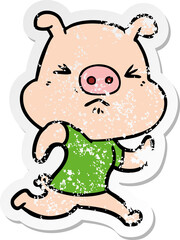 distressed sticker of a cartoon angry pig wearing tee shirt