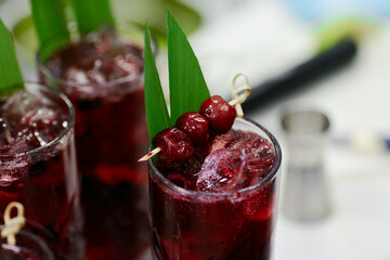 the barman prepares a refreshing summer cocktail