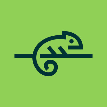 Chameleon simple line icon logo vector design. Chameleon reptile vector in abstract outline Illustration
