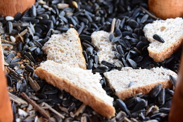Small wooden house for feeding birds in winter