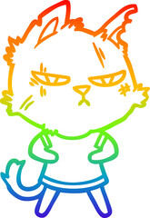 rainbow gradient line drawing tough cartoon cat