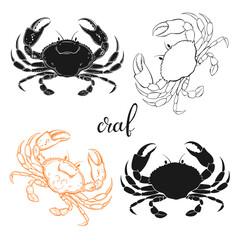 Crab. Hand drawn vector illustration, 4 isolated  elements on white background. Perfect for menu decoration, invitation, card and as a design element.
