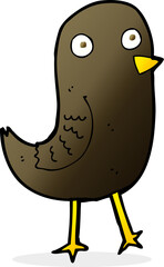 funny cartoon bird