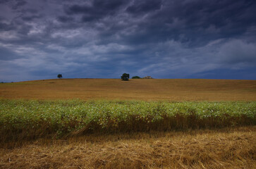 Naklejka premium The Molise countryside in summer with fields of wheat already harvested