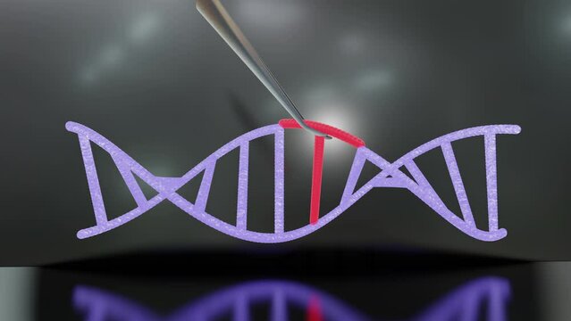 CRISPR Gene/DNA Repair - No Glow