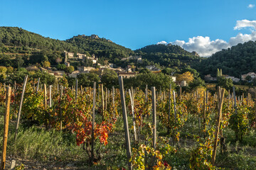 Village de Gigondas au milieu des vignes à l' automne , au pays des Dentelles de Montmirail. Vaucluse. France - obrazy, fototapety, plakaty