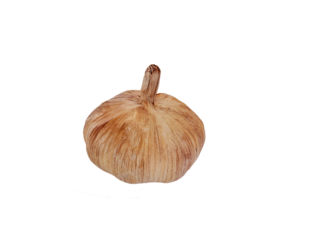 one whole head bulb of fermented black garlic isolated on white background